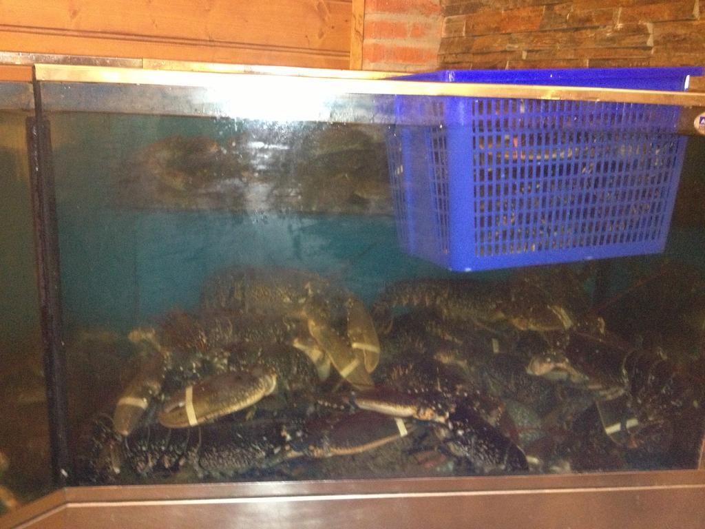 Hosteria San Emeterio Isla Plana المظهر الخارجي الصورة