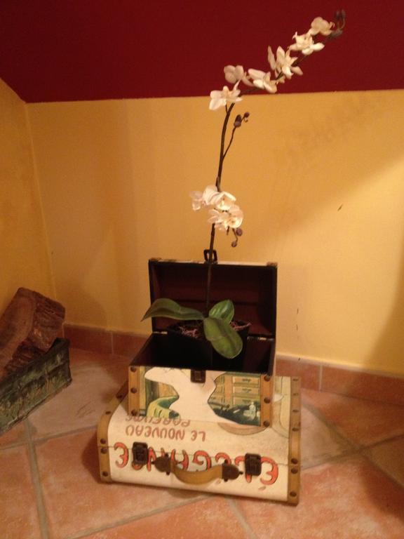 Hosteria San Emeterio Isla Plana المظهر الخارجي الصورة